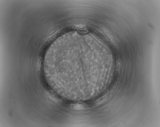 X0000115450412200911251311