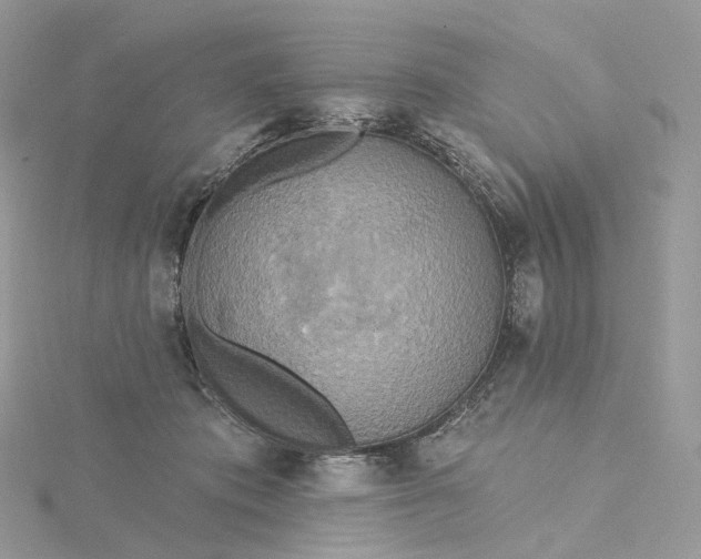 X0000115450413200911251311