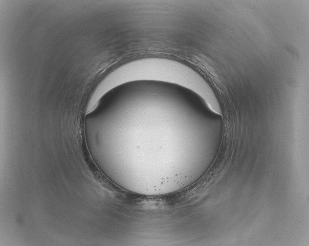 X0000115450415200911251311