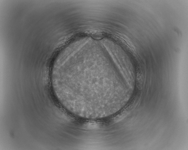 X0000115450416200911251311