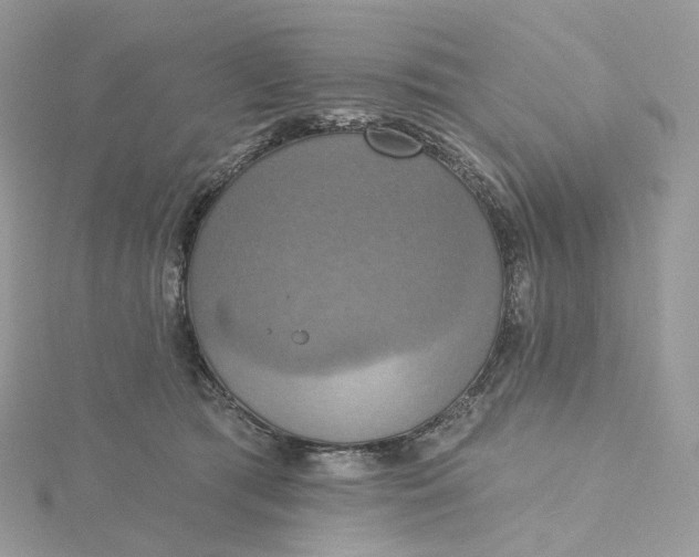 X0000115450417200911251311