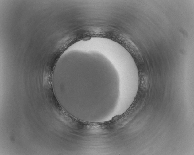 X0000115450419200911251311