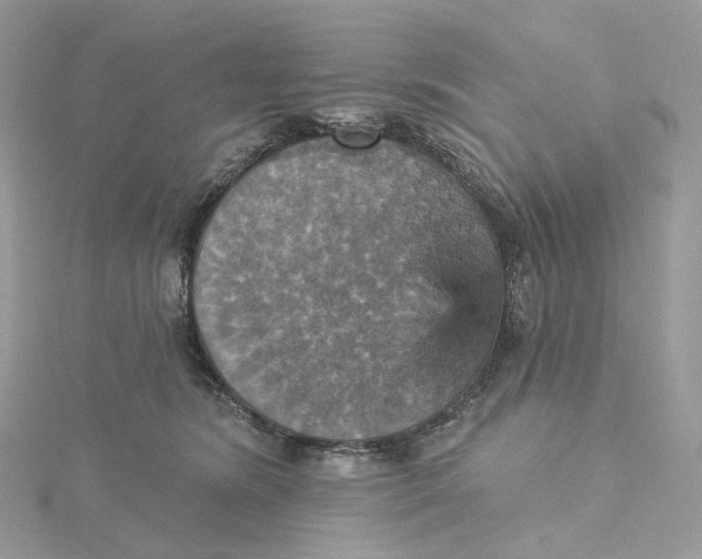 X0000115450420200911251311