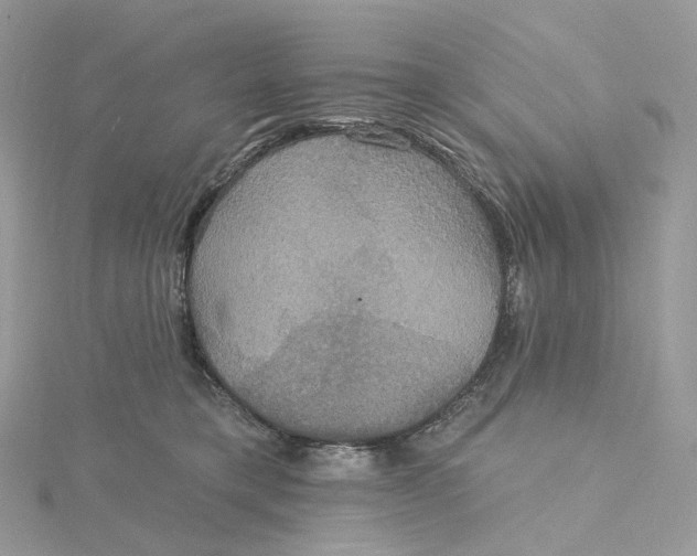 X0000115450421200911251311