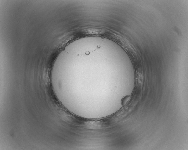 X0000115450422200911251311