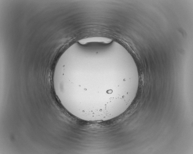 X0000115450423200911251311