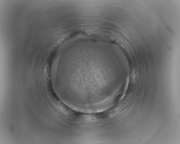 X0000115450424200911251311