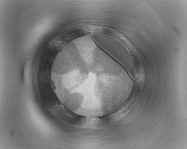 X0000115450429200911251311