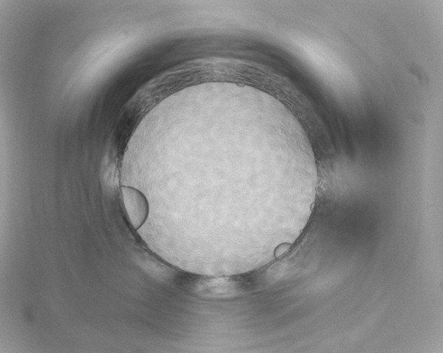 X0000115450431200911251311