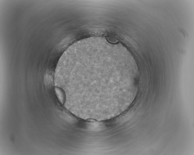 X0000115450432200911251311