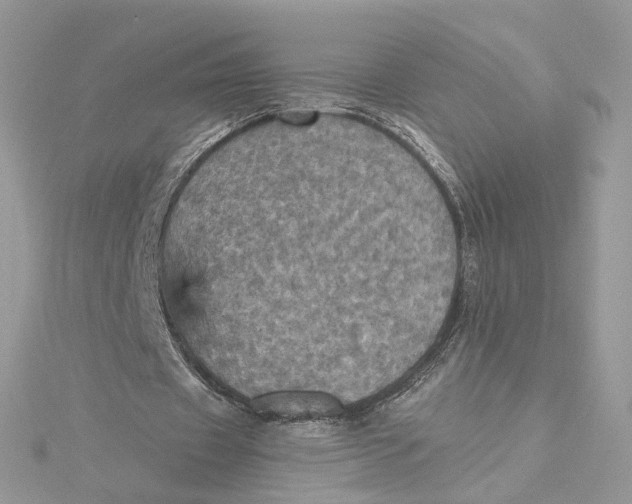 X0000115450433200911251310