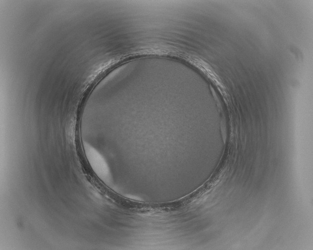 X0000115450434200911251310