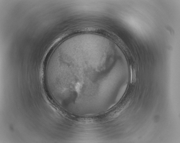 X0000115450435200911251310