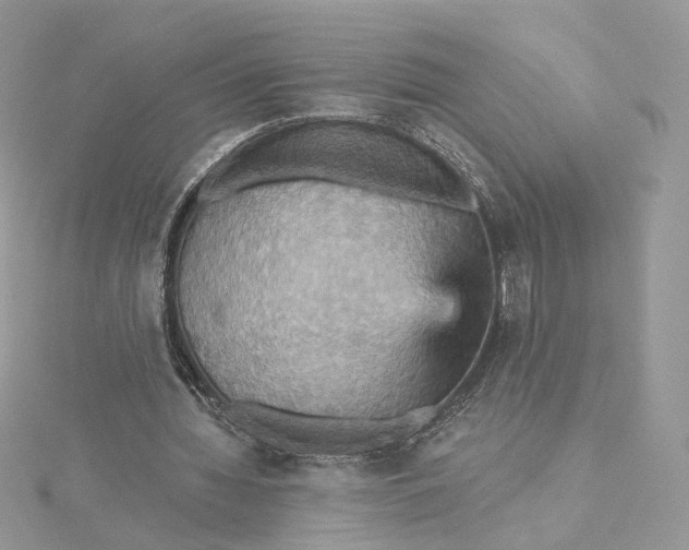 X0000115450436200911251310