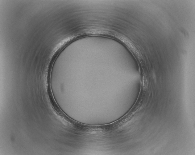 X0000115450438200911251310