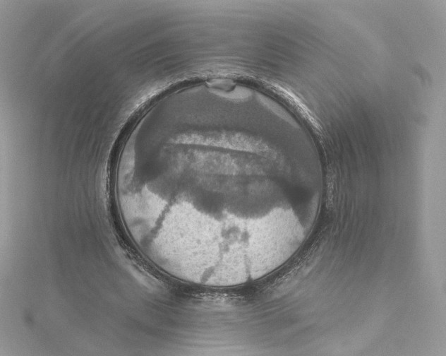 X0000115450439200911251310