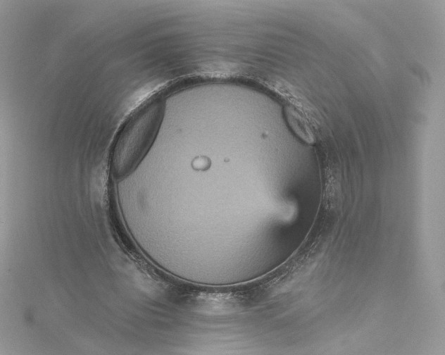 X0000115450440200911251310