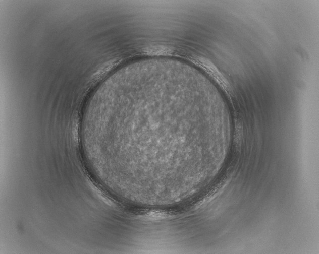 X0000115450441200911251310