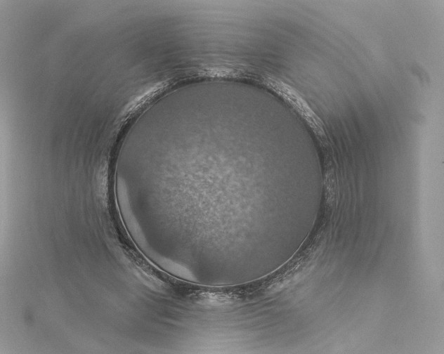 X0000115450442200911251310