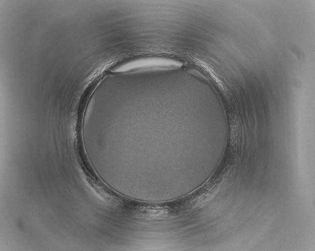 X0000115450443200911251310