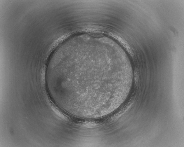 X0000115450445200911251310