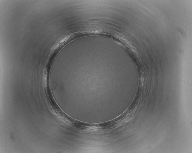 X0000115450446200911251310