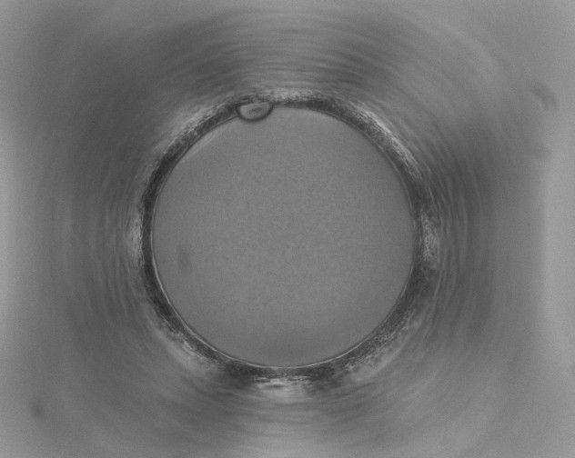 X0000115450447200911251310