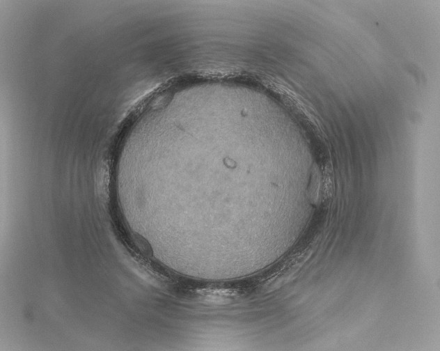 X0000115450448200911251310