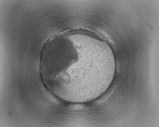 X0000115450449200911251310