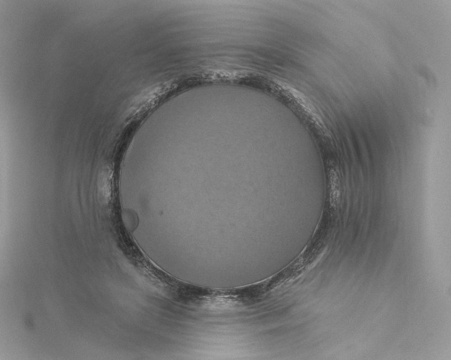 X0000115450451200911251310