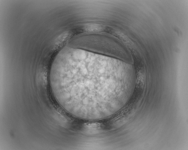 X0000115450452200911251310