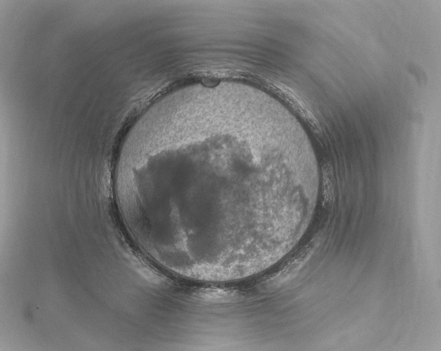 X0000115450453200911251310