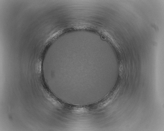 X0000115450454200911251310