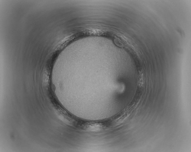 X0000115450456200911251310