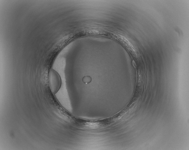 X0000115450457200911251310