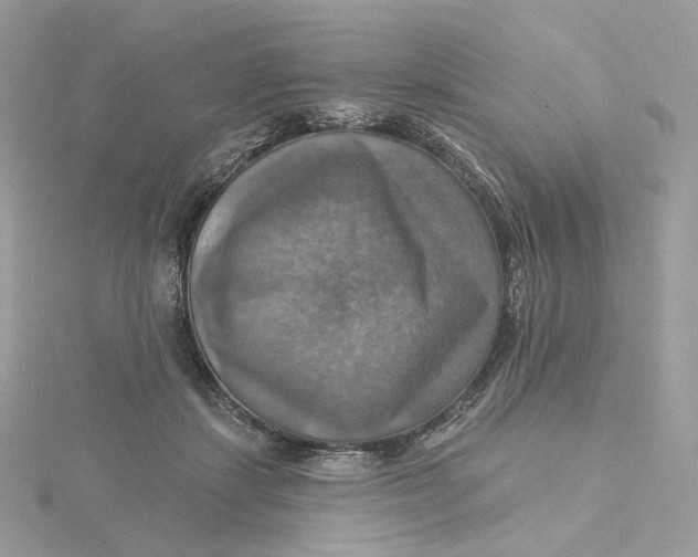 X0000115450459200911251310