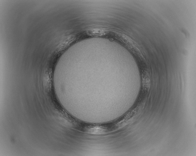 X0000115450460200911251310