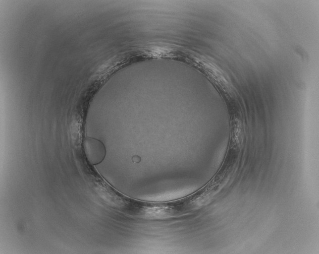 X0000115450461200911251310