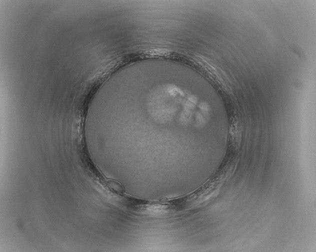 X0000115450462200911251310