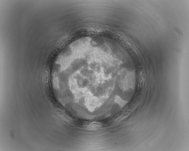 X0000115450463200911251310