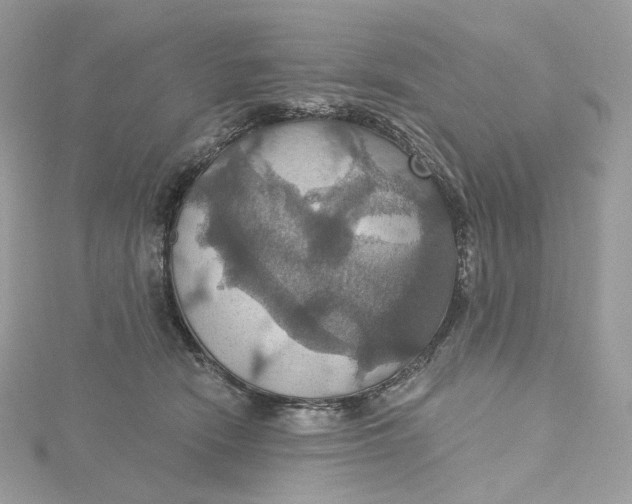 X0000115450466200911251310