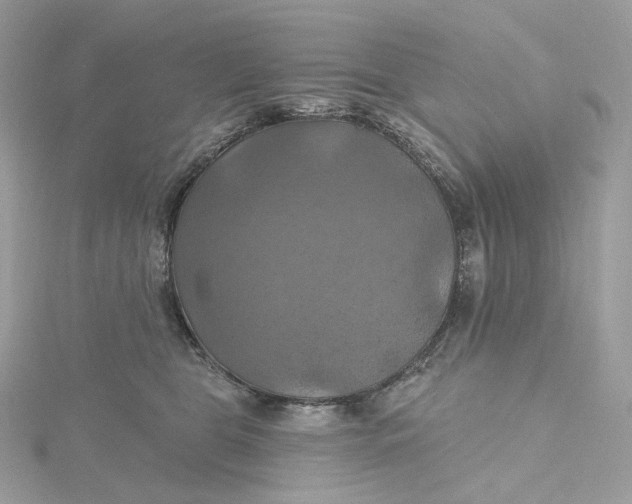 X0000115450469200911251311