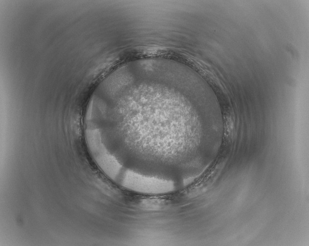 X0000115450470200911251311