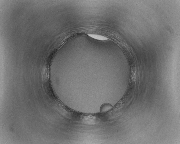 X0000115450471200911251311