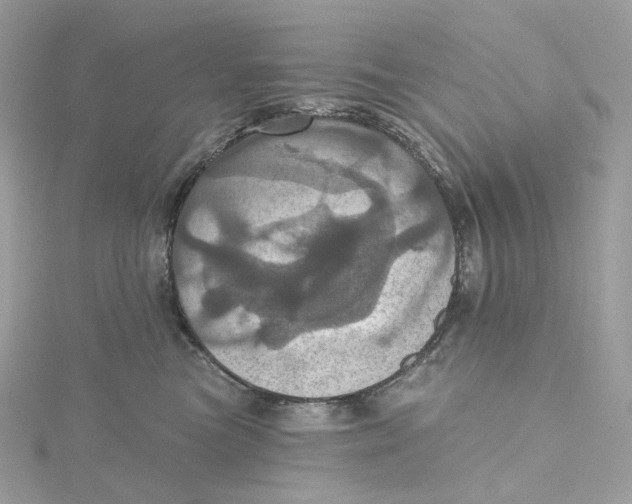 X0000115450473200911251311