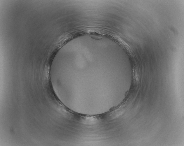 X0000115450475200911251311