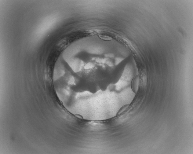 X0000115450477200911251311