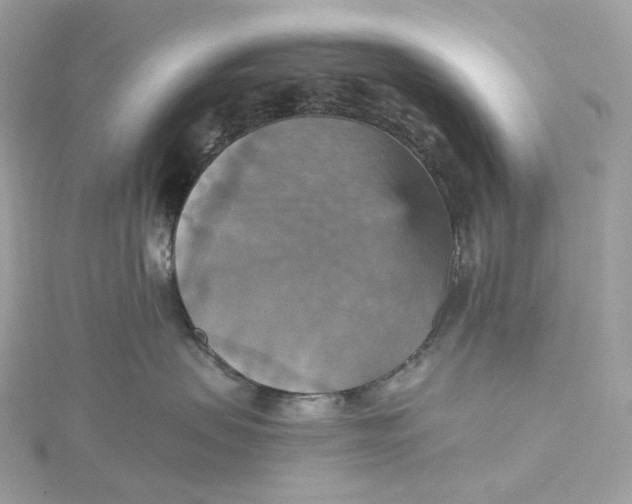 X0000115450479200911251311