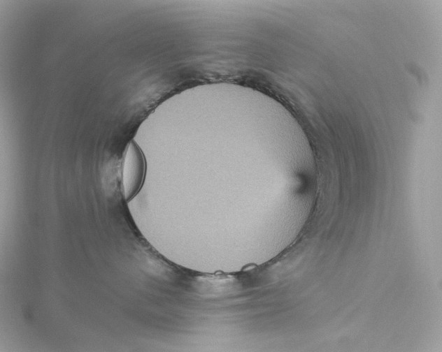 X0000115450480200911251311