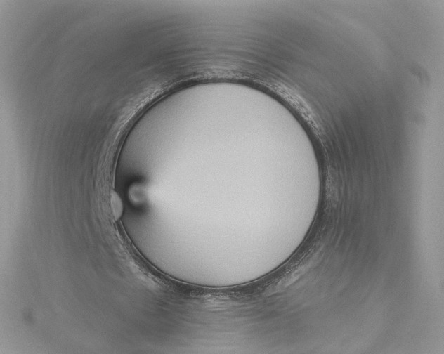 X0000115450481200911251310